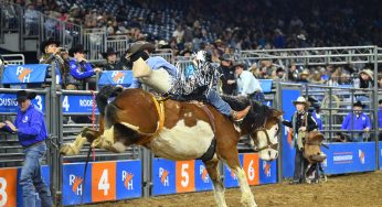 Sharing the Houston Livestock Show and Rodeo Experience with Lightspeed Live Stream
