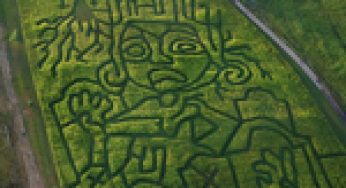 LAIKA Partnering With Topaz Farm for Autumnal Corn Maze in Honor of 10th Anniversary of Its Movie ParaNorman