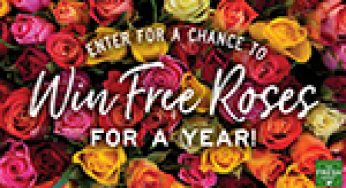 Everything’s Coming Up Roses at The Fresh Market this February!