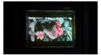 Saphlux Unveils Revolutionary Full-Color NPQD® Micro-Display for AR/VR Headsets