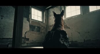 Festival Short The Reclaimers Graded with DaVinci Resolve Studio