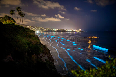 Bioluminescent waves crash along the shores of San Diego, CA. Credit: © Terra Mater Studios GmbH & Day’s Edge Productions