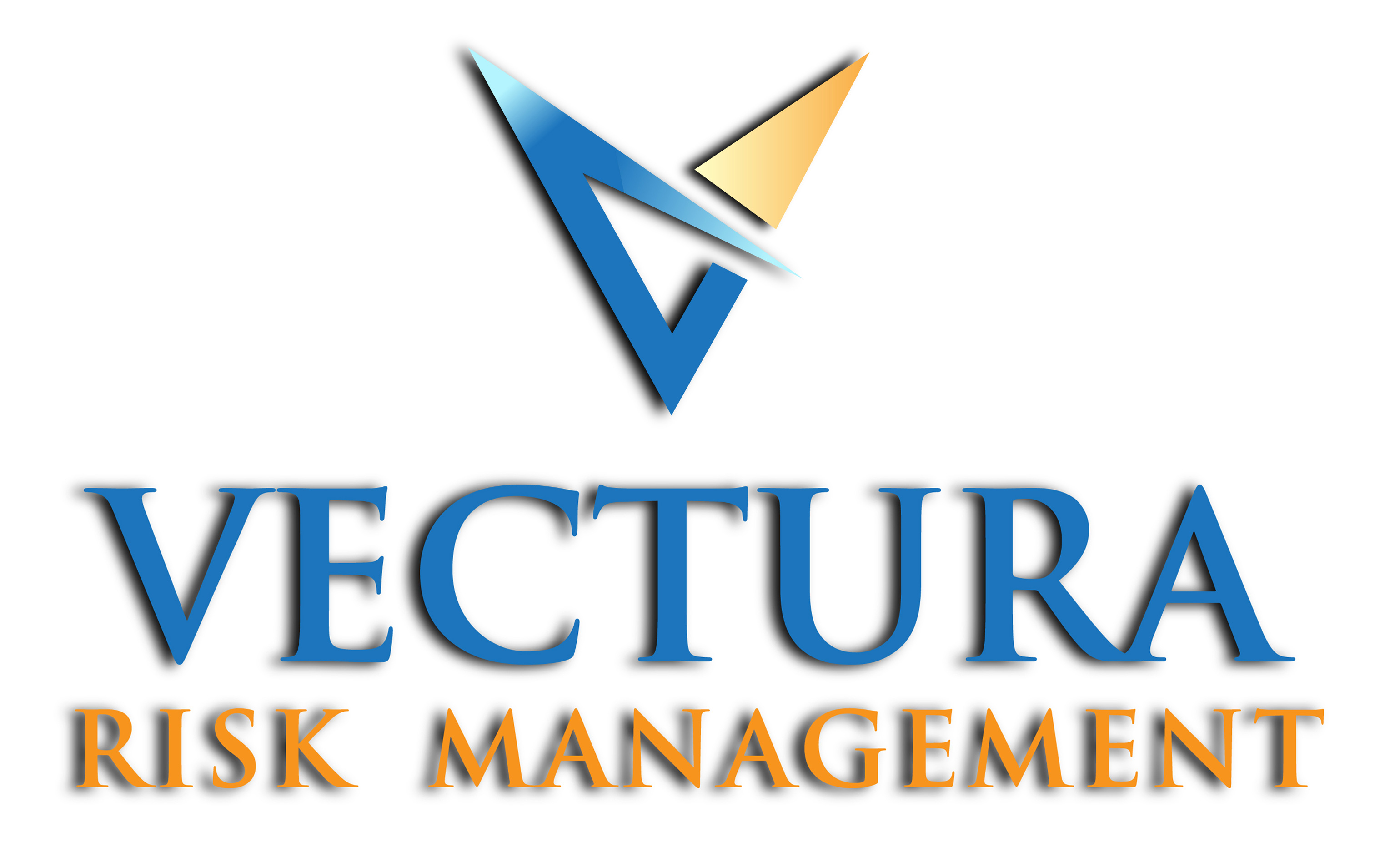 Vectura Risk Management Logo